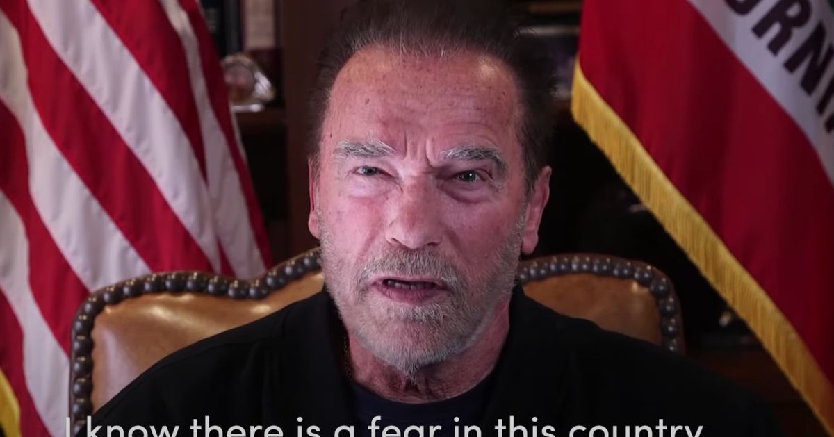 Arnold Schwarzenegger Blasts 'Failed Leader' Trump, Compares Capitol Riot To Nazi Violence