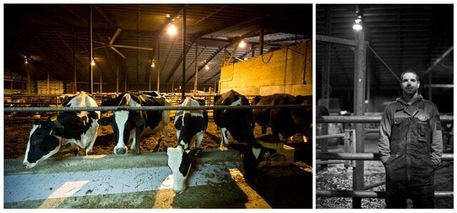 A photo in the 5 a.m. project: Dan - Dairy Farmer - Cressridge Farms.