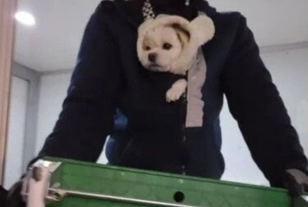근무 중인 보호자의 품에 안겨있는 경태 