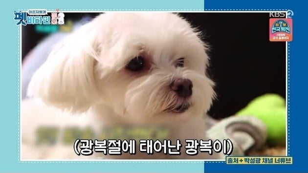 비타민엔터테인먼트 이미지