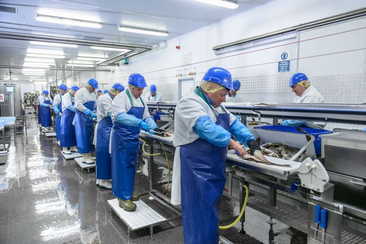 File photo of workers in a fish factory.