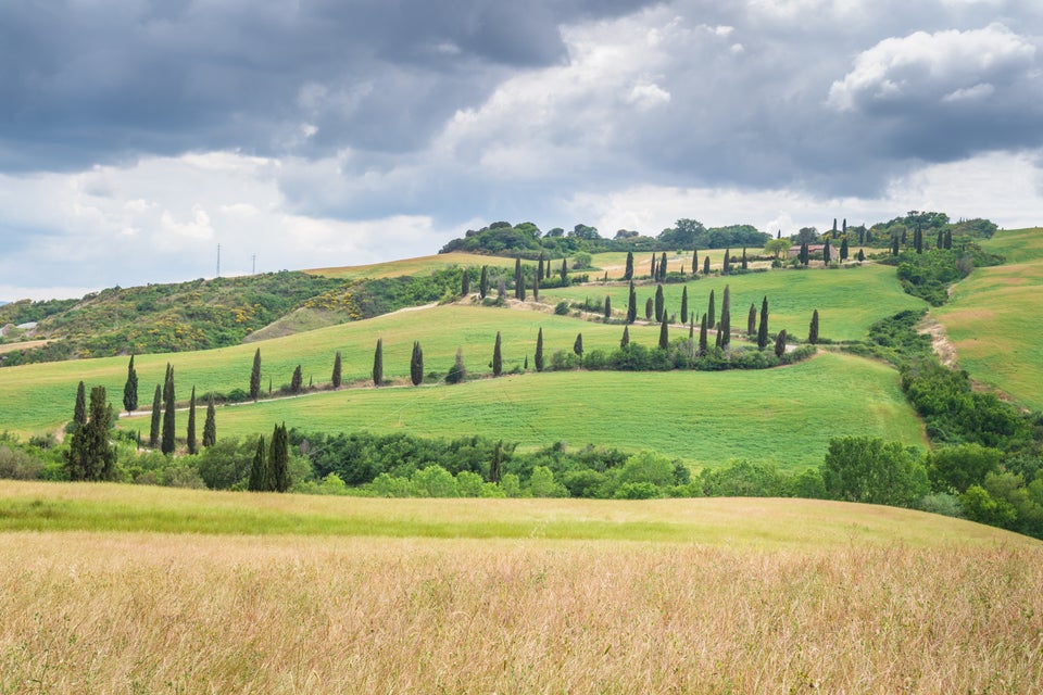 Sulla via Francigena per