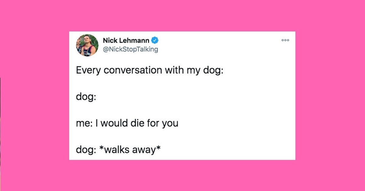 30 Of The Funniest Tweets About Cats And Dogs This Week (Jan. 815