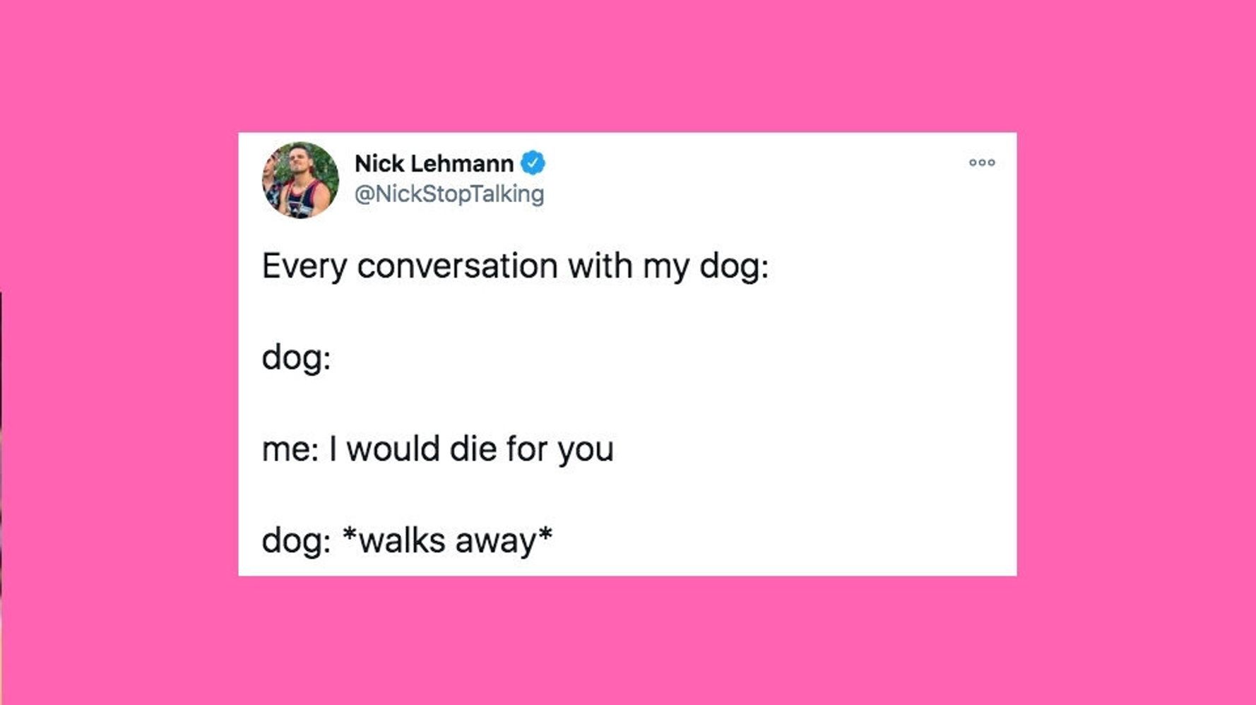 30 Of The Funniest Tweets About Cats And Dogs This Week - Flipboard