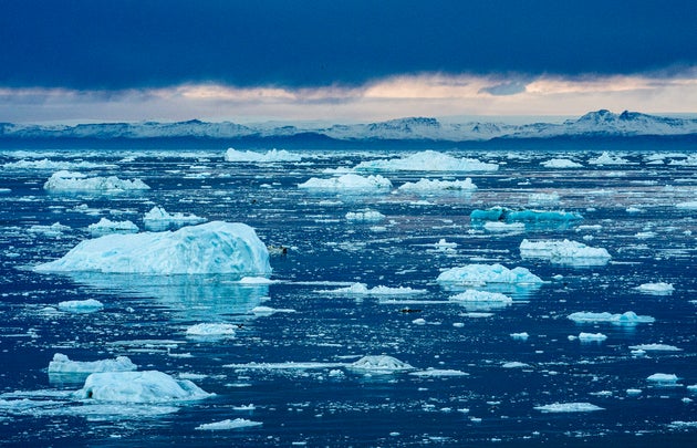 Anche i batteri della Groenlandia favoriscono lo scioglimento della calotta glaciale Anche i batteri della Groenlandia favoriscono lo scioglimento della calotta glaciale
