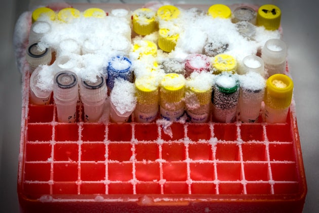 Congelatore rotto, 800 dosi di vaccino da buttare a Forlì. Indagano i Nas Congelatore rotto, 800 dosi di vaccino da buttare a Forlì. Indagano i Nas