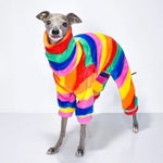 Montreal’s Best-Dressed Celeb Is This Tiny