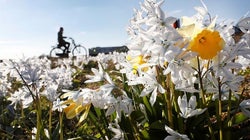 Y de repente, llegó la segunda