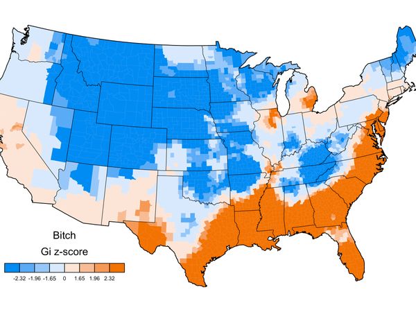 Which Curse Words Are Popular In Your State? Find Out From These Maps.