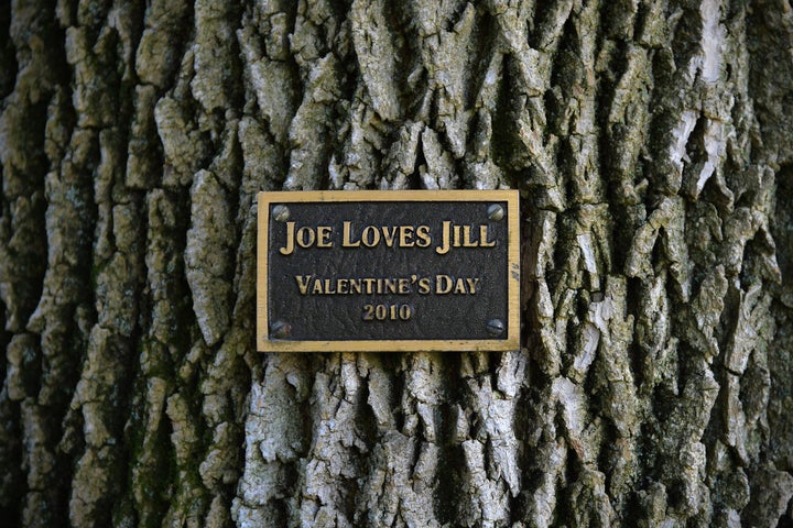 Vice President Joe Biden surprised his wife with a tree swing and a commemorative plaque on the grounds residence on Valentine's Day in 2010.