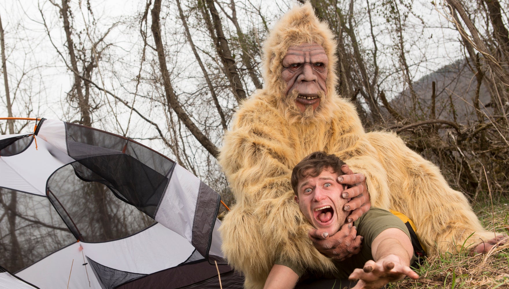 Bill could make Bigfoot state's official cryptid