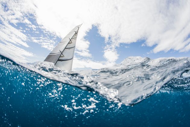 Image showing the mainsail and jib of a racing