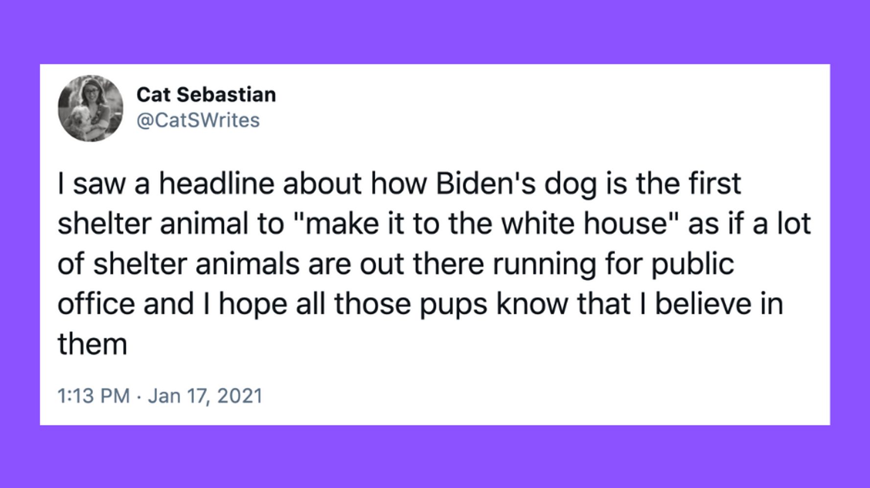 22 Of The Funniest Tweets About Cats And Dogs This Week - Flipboard