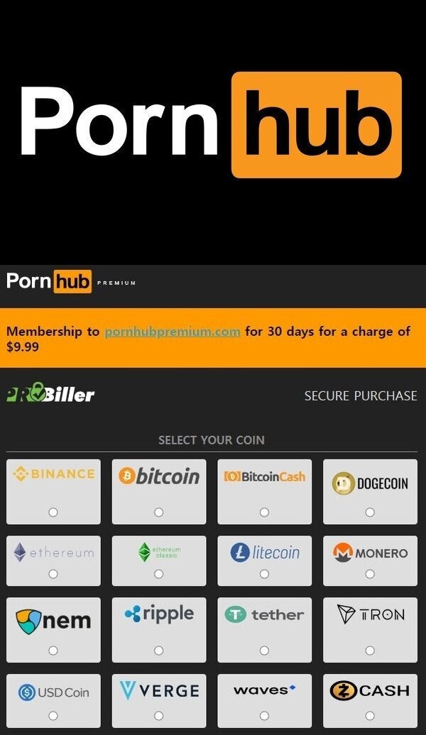 현재 폰허브에 결제 가능한 암호화폐는 비트코인(BTC), 비트코인캐시(BCH), 이더리움(ETH), 이더리움클래식(ETC), 라이트코인(LTC), 모네로(XMR), 트론(TRX), 버지(XVG), 넴(NEM), 도지코인(DOGE), 젠캐시(ZEN), 웨이브(WAVES), 리플(XRP), 테더(USDT), 유에스디코인(USDC), 바이낸스코인(BNB) 등 총 16종에 달한다.