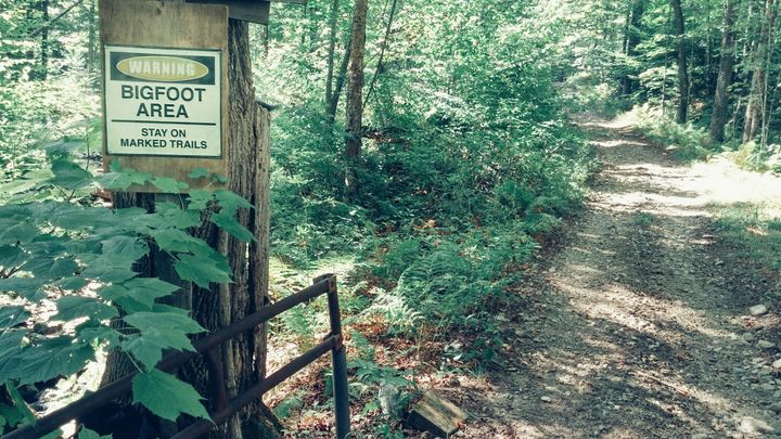 Warning Bigfoot Area Stay on Marked Trails Sign on Tree on Vermont Dirt road with gate.