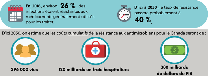 Résistance aux antimicrobiens au Canada.