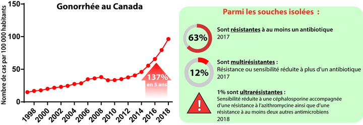 Tandis que d’autres maladies infectieuses sont en baisse, la gonorrhée est en expansion fulgurante au Canada.