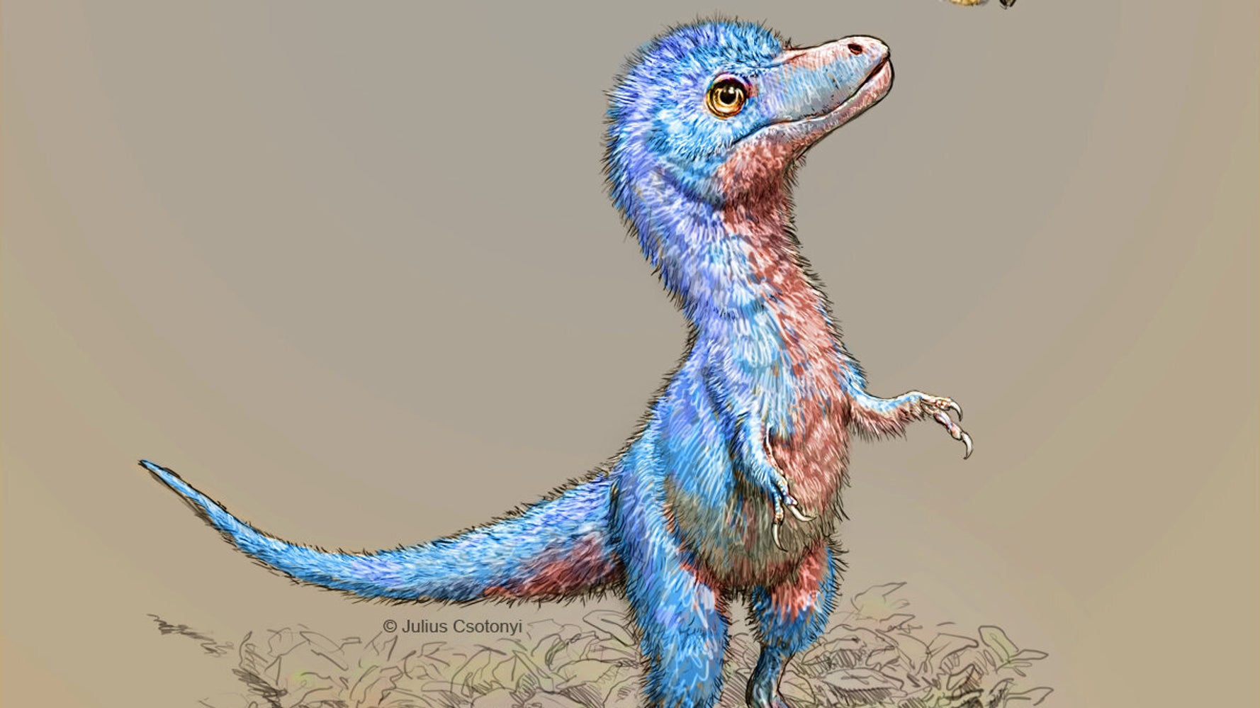 Les Decouvertes De Fossiles De Bebes Dinosaures En Alberta Et Au Montana Donnent Un Nouvel Eclairage Huffpost Quebec Nouvelles Les Decouvertes De Fossiles De Bebes Dinosaures En Alberta Et Au Montana Donnent Un Nouvel Eclairage Huffpost Quebec Nouvelles