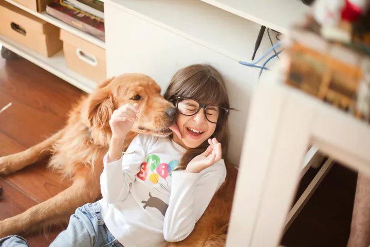 Gifts for Pets, Psychological Benefits