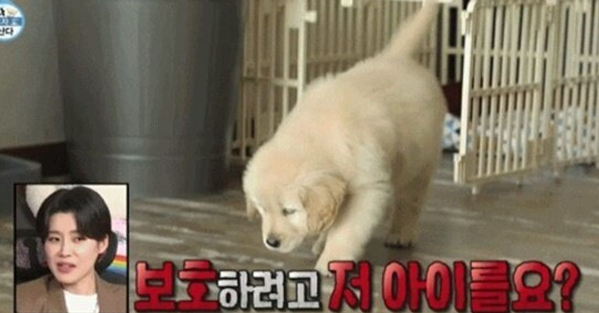 Park Eun-seok, who is suspicious of’perhaps for dogs and cats,’ was “only false remarks from people who don’t know who they are.”