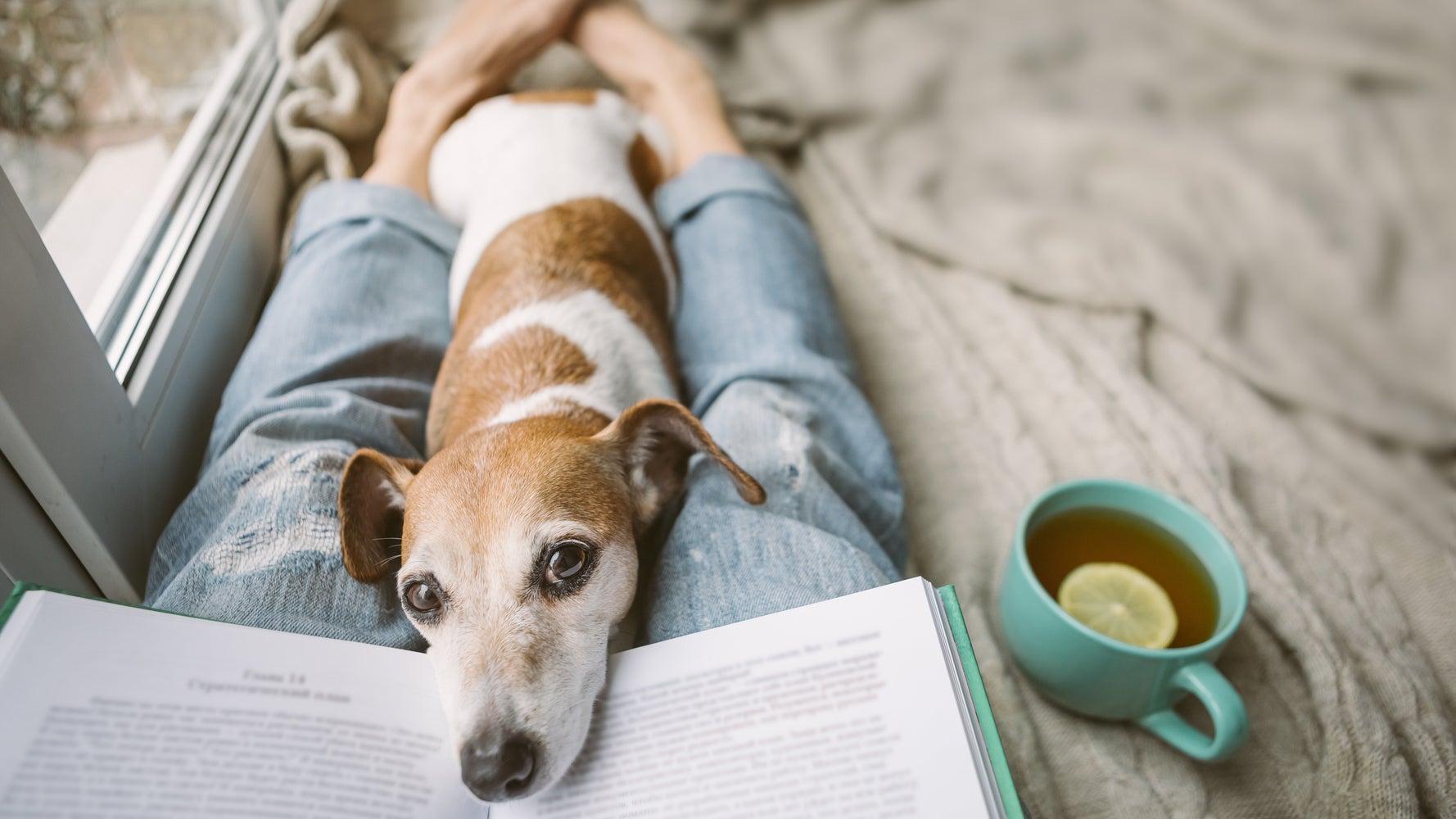 Struggling With Being Stuck At Home? Try These Mental Health Tips. - Vimarsana News