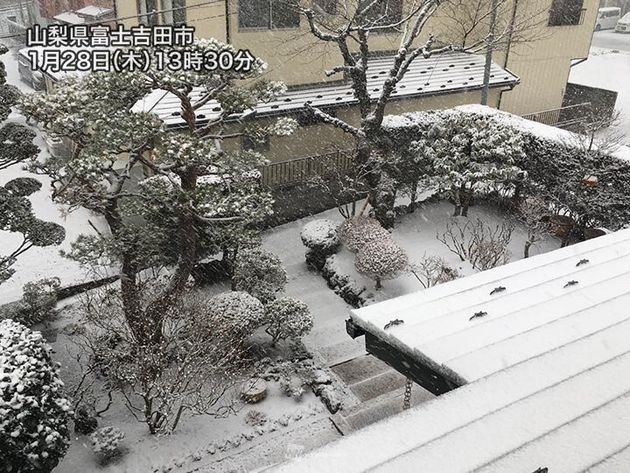 æ±äº¬ã§é›ªã‚„ã¿ãžã‚ŒãŒ å¤œã«ã‹ã'ã¦ å‚˜ã‚'æŒã¤æ‰‹ãŒã‹ã˜ã‹ã‚€ã‚ˆã†ãªå¯'ã• ãƒãƒ•ãƒã‚¹ãƒˆ