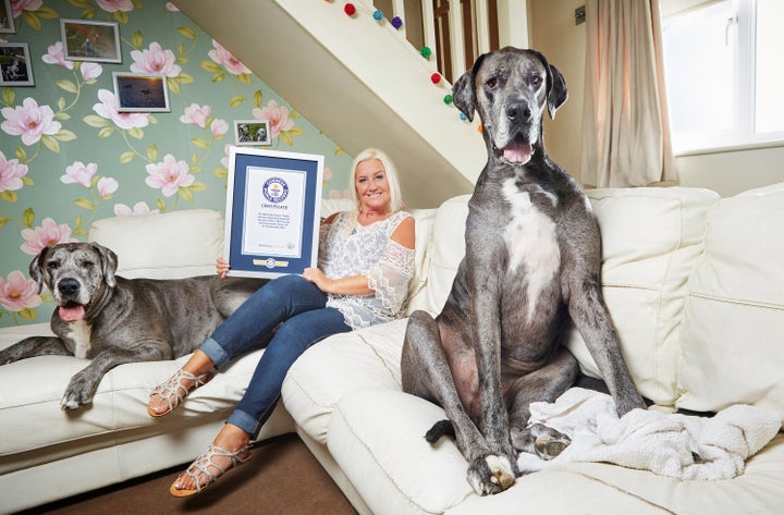 Freddy with his owner Claire and his sister Fleur.