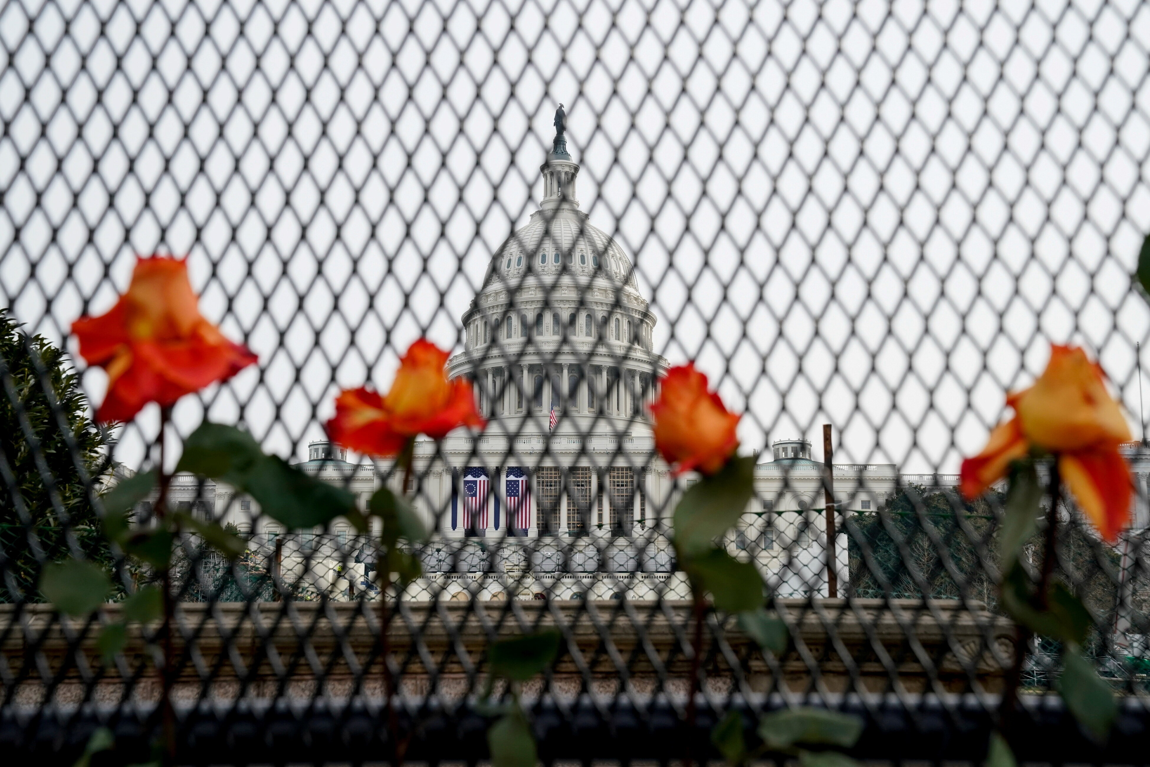 Man Arrested Near Capitol With Gun Had 'Stop The Steal' Paperwork, List ...