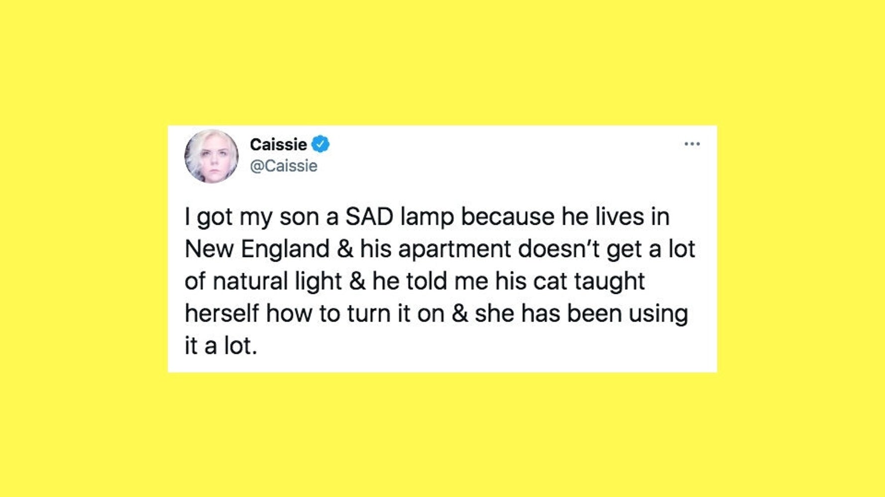 20 Of The Funniest Tweets About Cats And Dogs This Week Jan 23 29 20 of the funniest tweets about cats and dogs this week jan 23 29