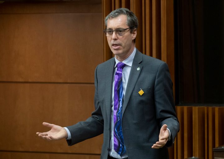 Green Party MP Paul Manly rises in the House of Commons on April 20, 2020 in Ottawa.