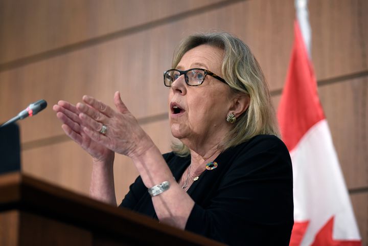 Green Party Parliamentary Leader Elizabeth May speaks during a news conference after the presentation of the government's fiscal snapshot on July 8, 2020.
