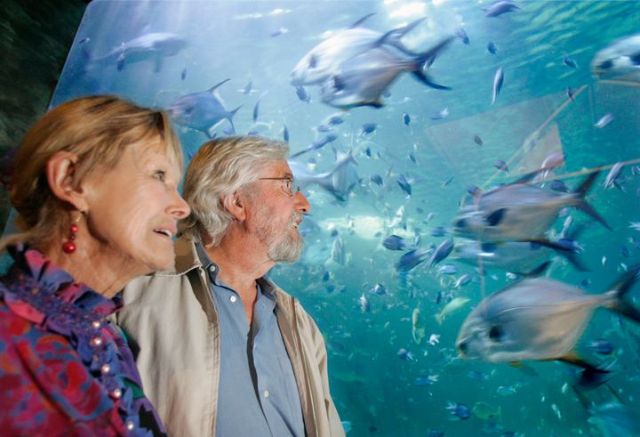 Taylor and explorer Jean-Michel Cousteau, who appears in "Playing with Sharks," in 2006.
