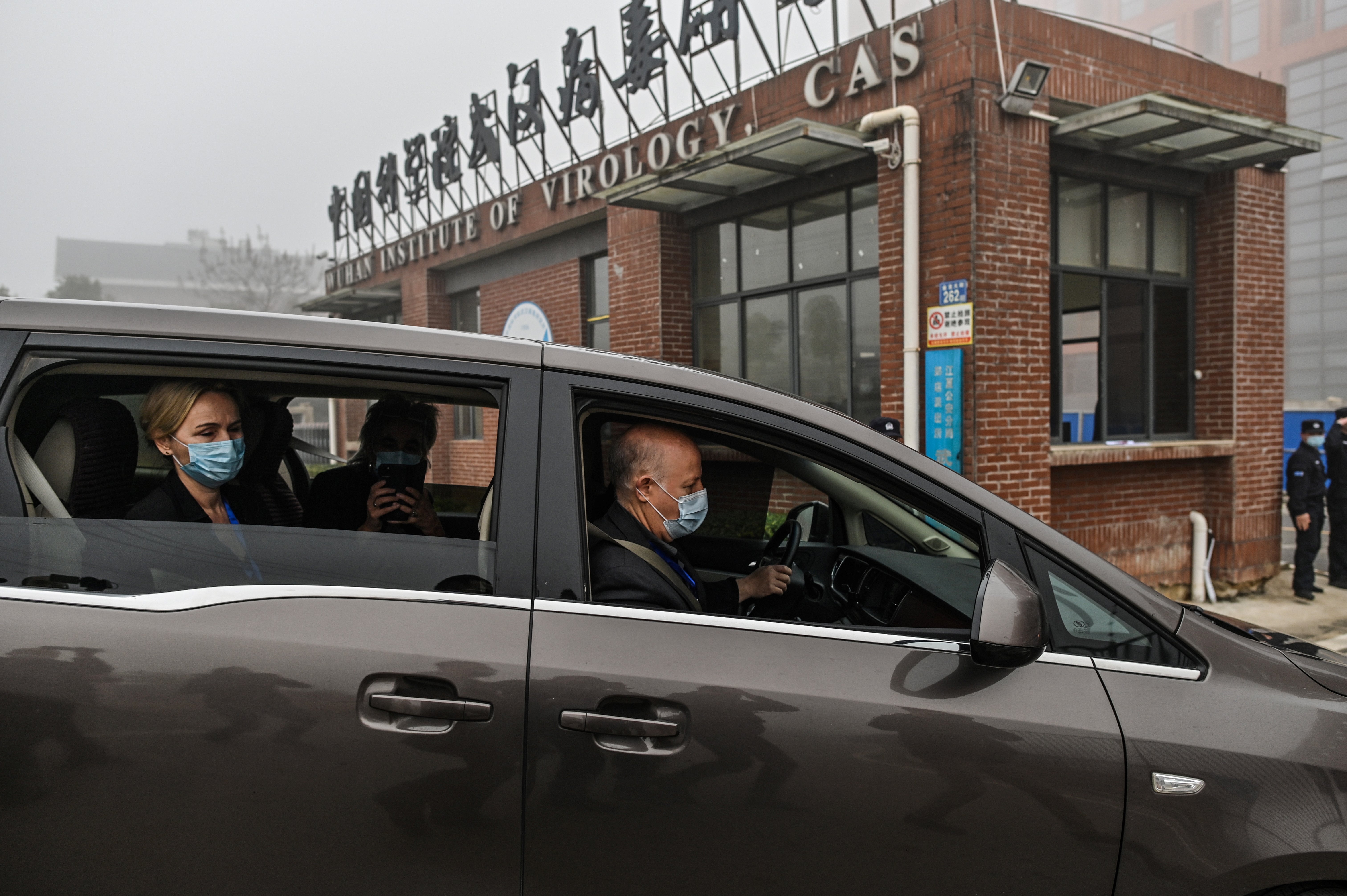 Covid-19: À Wuhan, les experts de l'OMS visitent l'Institut de virologie