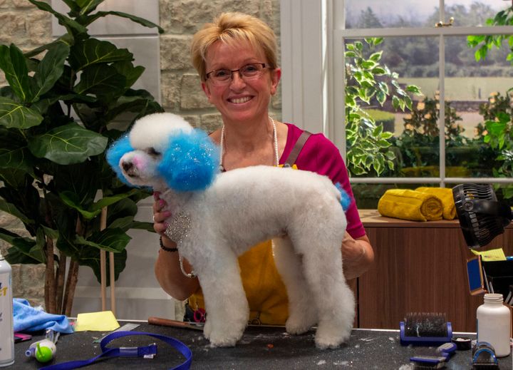 The groomers used temporary colourings in last week's episode of Pooch Perfect