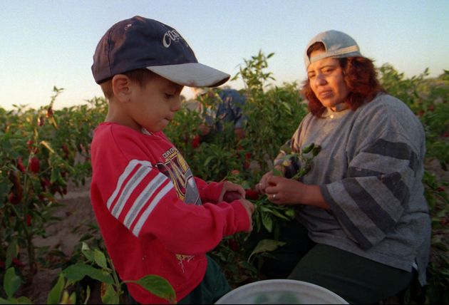 A mother and four-year-old child pick chilies in Berino, N.M., in this 1997 file photo. A World...