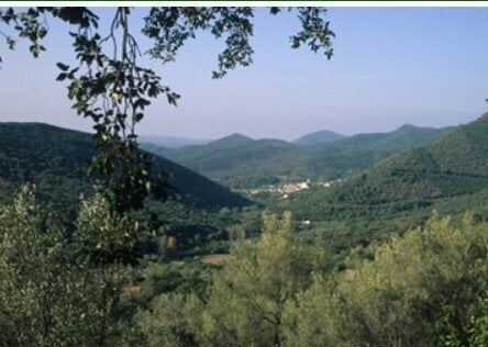 Sierra de Aracena Natural Park