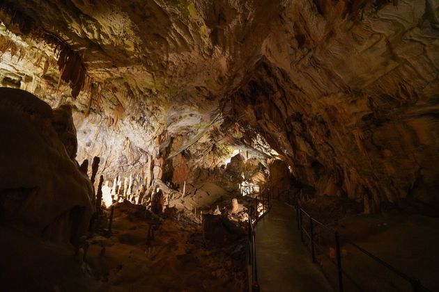 En Ariège, ces volontaires débutent un nouveau confinement... dans une grotte (photo d'illustration: la grotte de Postojna en Slovénie)