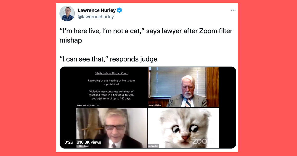 Videoconference Fails 16 Funny Tweets That Sum Up The Hell Of Video Conferencing | HuffPost ...