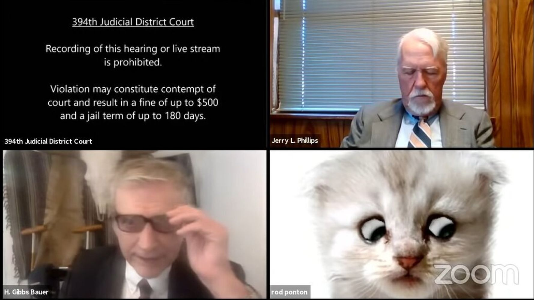 “판사님, 저는 고양이가 아닙니다”: 미국 화상 법원 심리에 새끼 고양이가 등장 해 화제가되고있다 (영상)