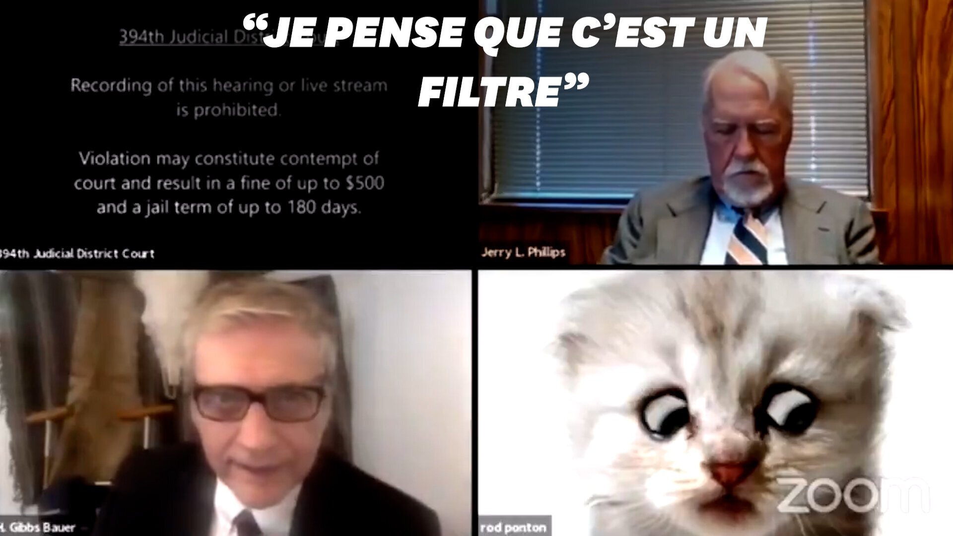 Dans un procès sur Zoom, cet avocat apparaît avec un filtre chat