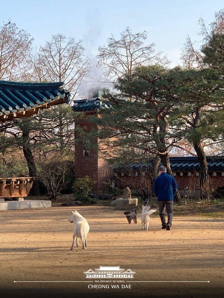 문재인 대통령이 관저에서 토리, 마루, 곰이와 산책하고 있다. <a href="http://www.hani.co.kr/arti/politics/assembly/982779.html?_fr=mt2#csidx2812f412d864d2dacf2d98091ade38b"></a>