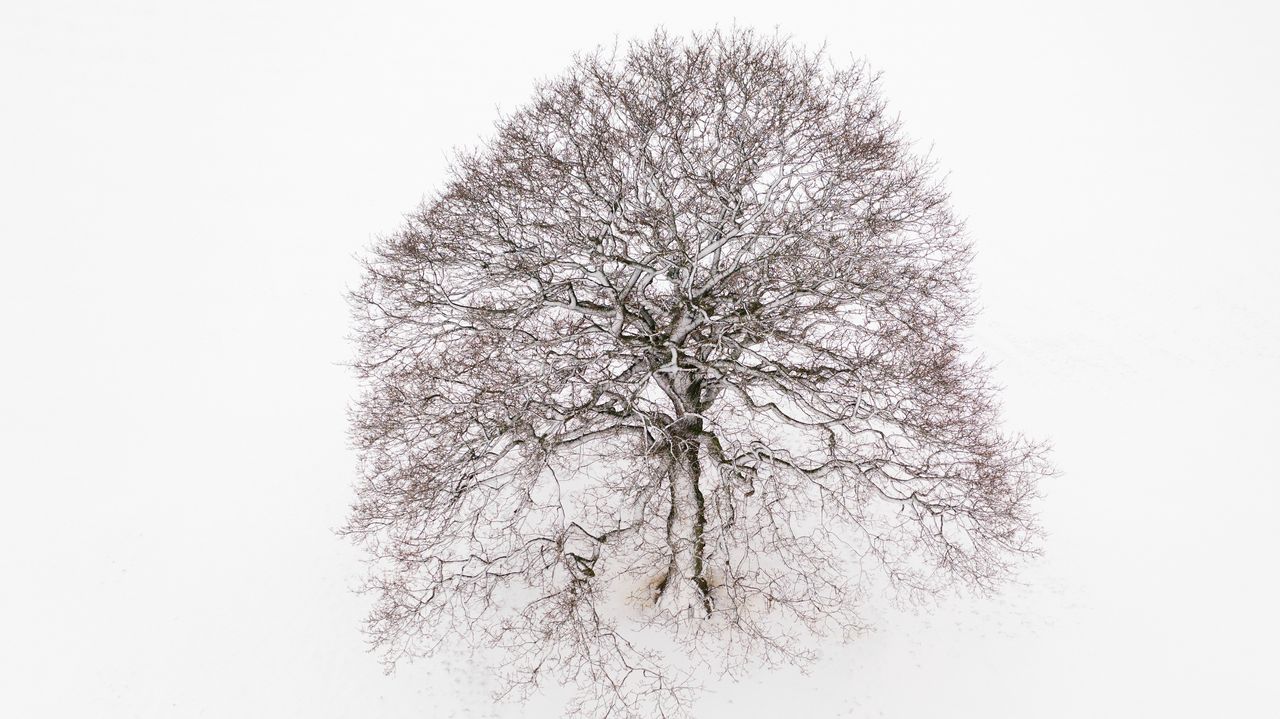 A lone tree stands in a snow-covered field on Feb. 8, 2021, near Canterbury, United Kingdom.