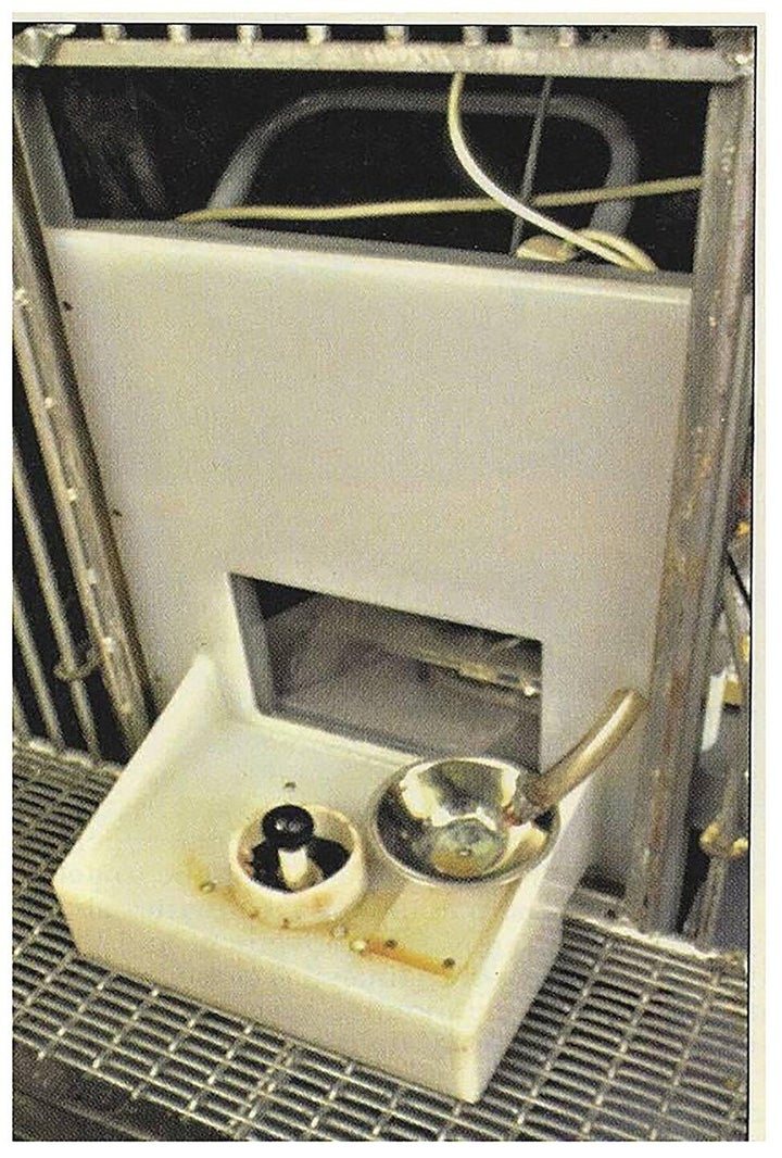 Pigs Can Be Trained To Play Video Games With Their Snouts, Study Reveals 1 Note the treat dispenser next to the joystick.