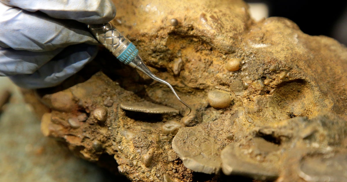 300年前の海賊の遺骨が発見される 伝説の海賊サミュエル ベラミーの可能性も ハフポスト 300年前の海賊の遺骨が発見される 伝説の海賊サミュエル ベラミーの可能性も ハフポスト