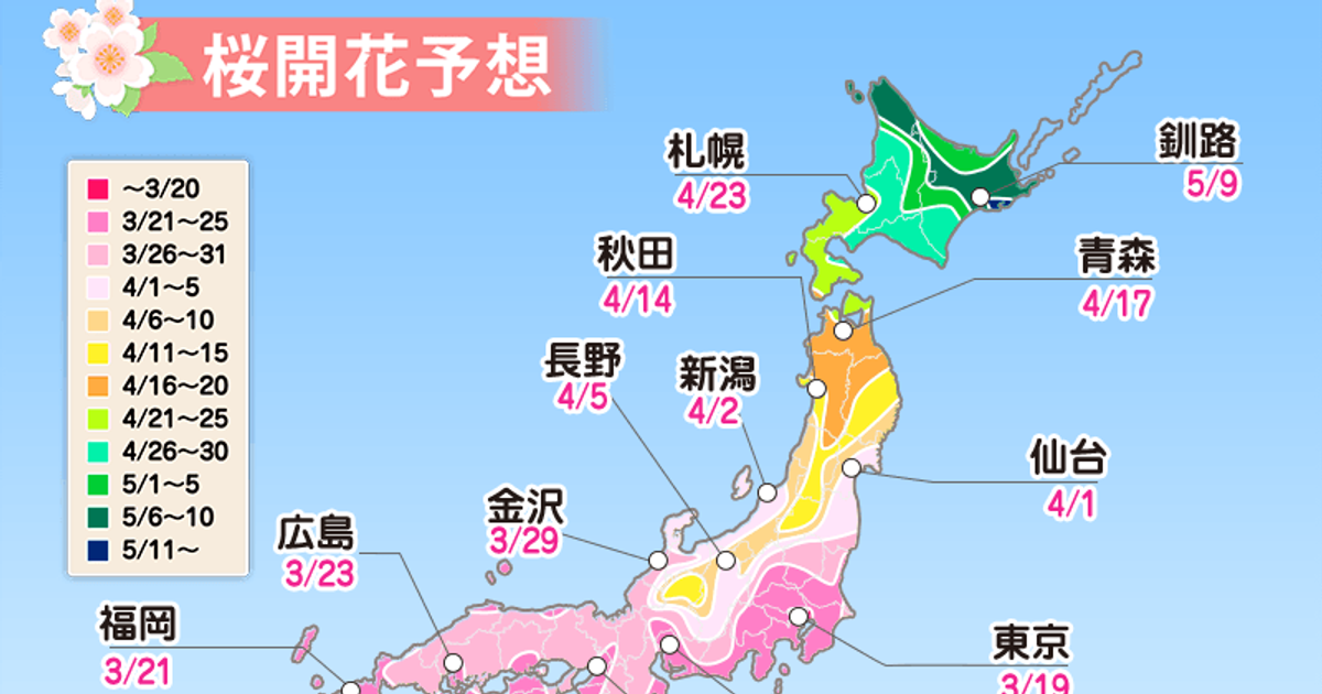 東京から3月19日に桜開花スタート　全国的に平年より早い傾向【桜開花予想】