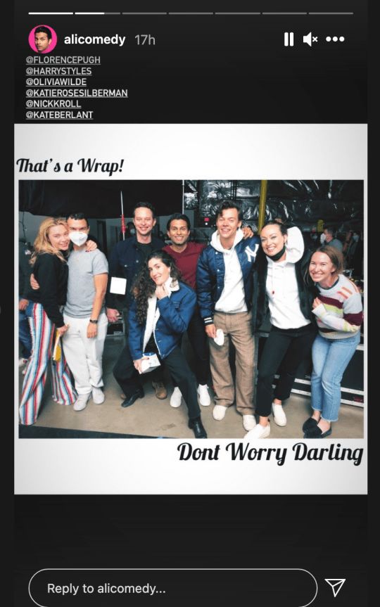 The Don't Worry Darling cast