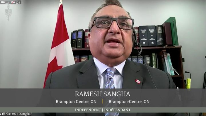 Independent MP Ramesh Sangha makes a statement during a hybrid sitting of the House of Commons on Feb. 17, 2021.