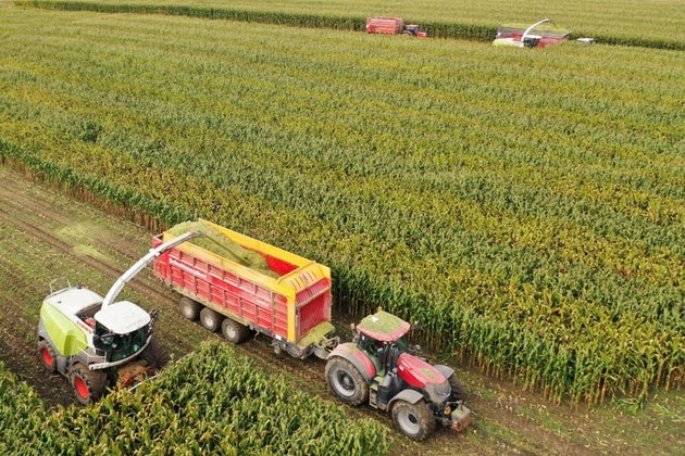 Le lien entre pesticides et leucémie aiguë prouvé par des