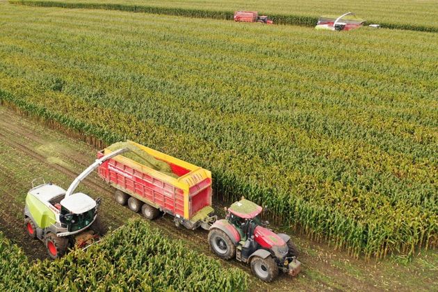 Le lien entre pesticides et leucémie aiguë prouvé par des chercheurs