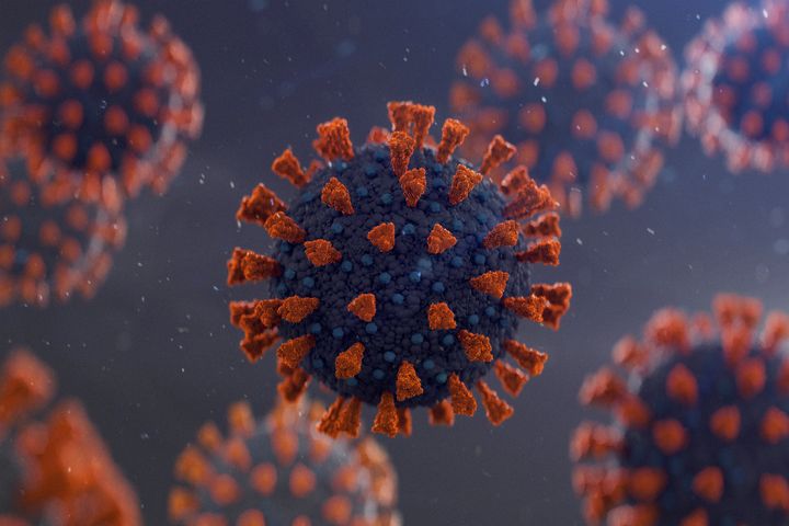 A computer-generated image of the novel coronavirus.